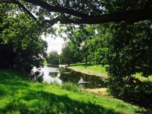 Groenbeheer | De Groene Kolenboer