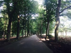 Veluwe | De Groene Kolenboer
