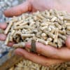 Badger Pellets | ENplus A1 houtpellets | 65 zakken per volle pallet | ook in bulklevering verkrijgbaar | 100% naaldhout (witte houtpellets)