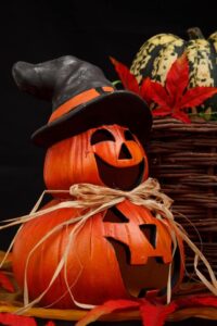 Halloween | De Groene Kolenboer
