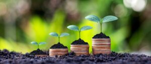 biomassa | investeren | De Groene Kolenboer