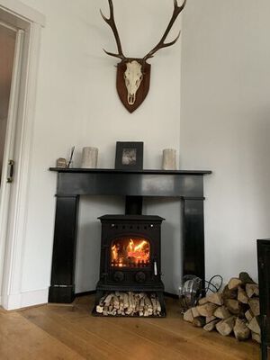 Lekkerstoken.nl-sfeer foto gietijzeren kachel van lekkersten.nl met wat hout en een gewei
