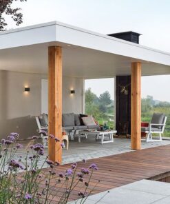 BIOnyx rvs reiniger
