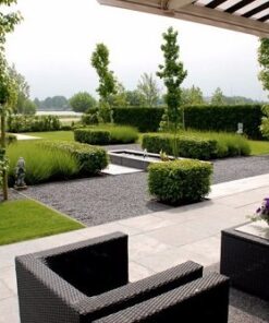 BIOnyx terras opritreiniger