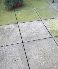 BIOnyx terras opritreiniger