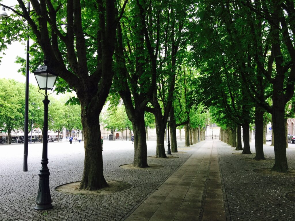 De Parade in 's-Hertogenbosch