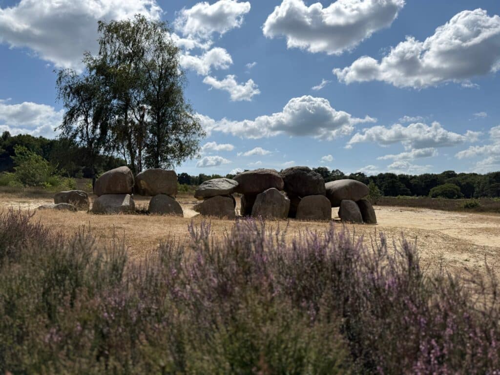 Hunebed D54 in Darp, gemeente Westerveld