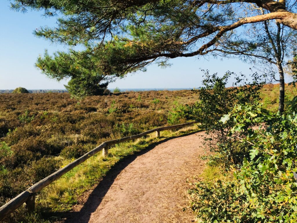Nationaal Park De Sallandse Heuvelrug - Nijverdalseberg in Nijverdal, Overijssel