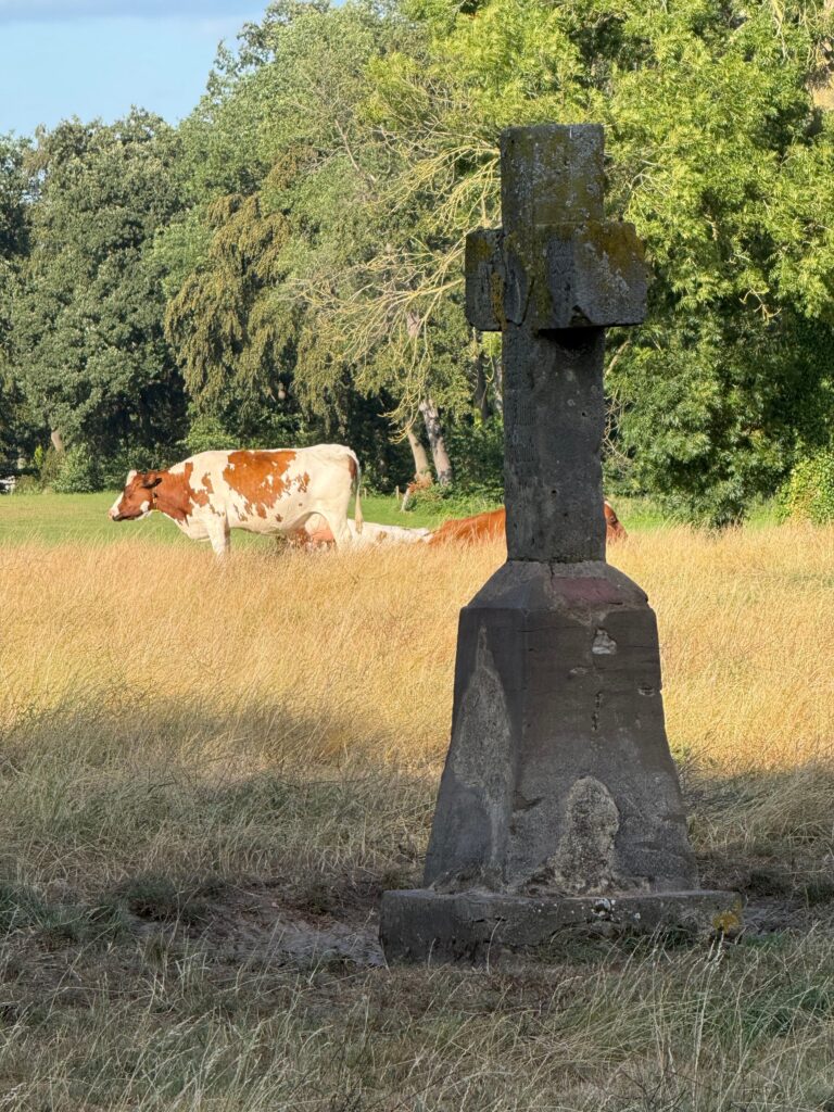 Stenen kruis bij de Eikelhof in Olst, gemeente Olst-Wijhe